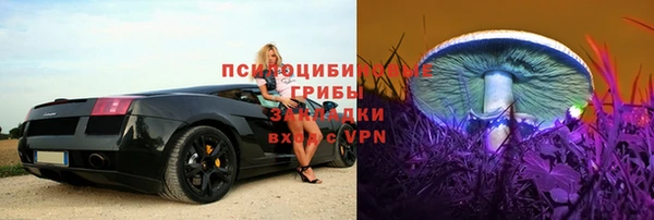 прущие крисы Балабаново